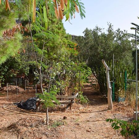 La Casa De Los Pinos Temisas 外观 照片