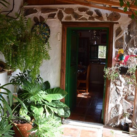 La Casa De Los Pinos Temisas 外观 照片