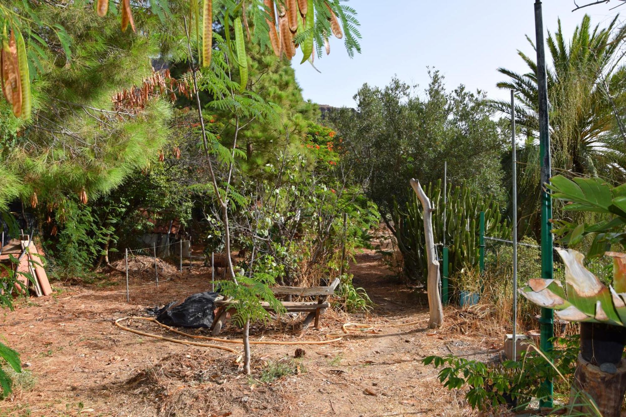 La Casa De Los Pinos Temisas 外观 照片