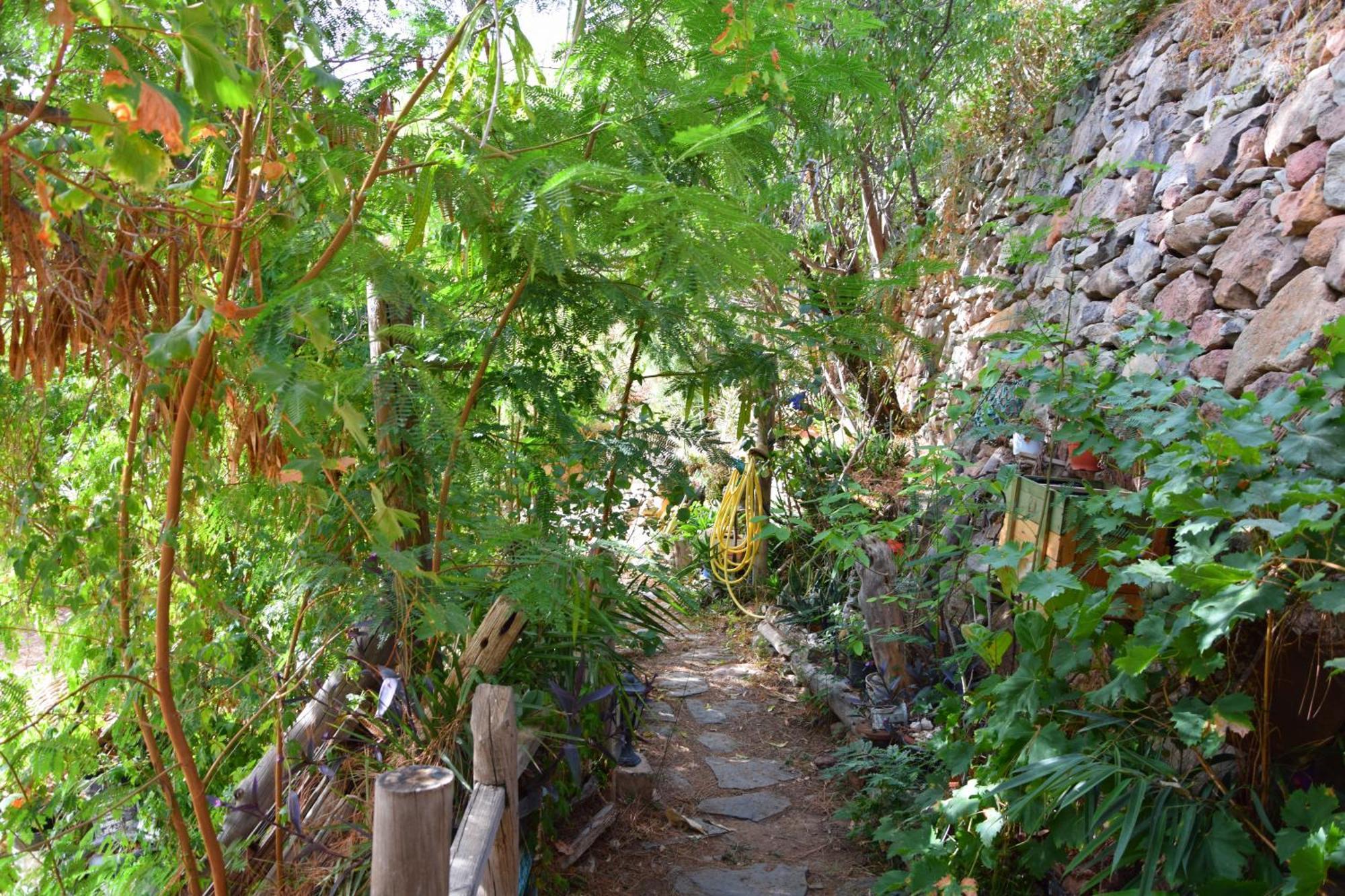 La Casa De Los Pinos Temisas 外观 照片